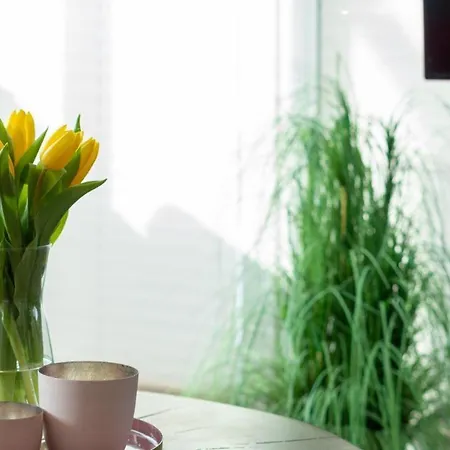 Duenenpark-heiligenhafen-haus-duenenblick-wohnung-6-himmelszelt *